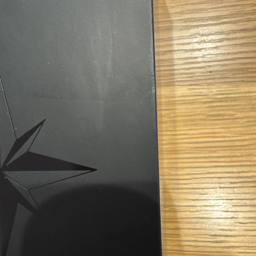 [USED] Anonymous Shipping Stray Kids Penlight ver.2