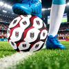 Austria Football Printed Size 5 Soccer Ball Wear Resistant Standard Adult Training Football Fan Gift for Indoor Outdoor Match Sports