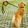Durable Weave Nylon Medium Large Dog Collar And Leash Set For All Breeds
