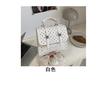 Schoolbag Foreign Style Personality Simple Fashion Backpack Autumn and Winter New Bag 1011 Trend Casual Women Niche Backpack