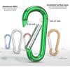 50 Stück Mini-Karabiner-Schlüsselanhänger, Aluminiumlegierung, D-Ring-Schnalle, Federkarabiner, Karabinerhaken, Schlüsselanhänger, Outdoor-Camping, für den täglichen Gebrauch