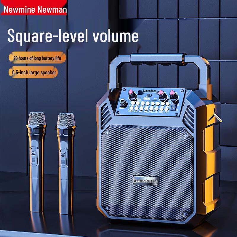 Newmine Portable Bluetooth Karaoke Speaker