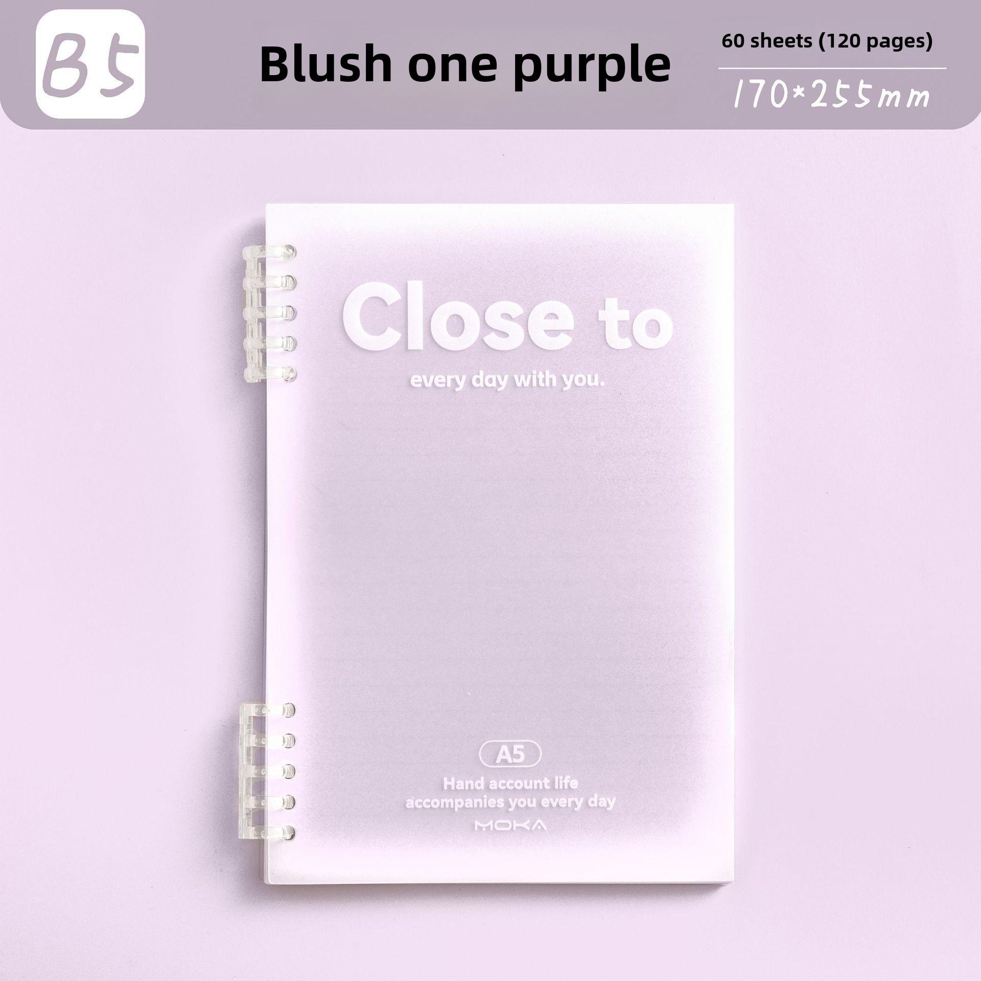 

Минималистичный отрывной студенческий блокнот - стильный румянец B5 с отрывными листами, без катушки