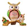 Stylish Owl Shaped Jewelry Organizers Compact Decorative Storage Box For Earrings Necklaces Rings