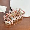 Acetate Chic Hair Claw Clip With Trendy Line Patterns In Vibrant Colors For Women