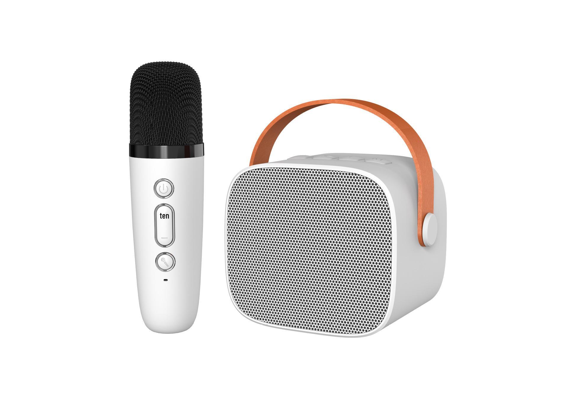 

Portable All-in-One Wireless Bluetooth Speaker with Dual Microphones for Home and Outdoor Use