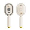 Electric Steam Hair Brush with Water Spray Reduce Frizz Anti-Static Misting Hairbrush Portable Travel Cordless Fluffy Hair Detangling Brush