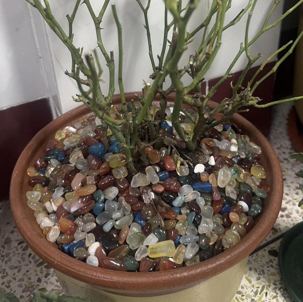 7 Chakra Crystal Mix - Healing Gemstone Collection for Meditation, Altar Offerings, Mandala Making, & Aquarium Decor