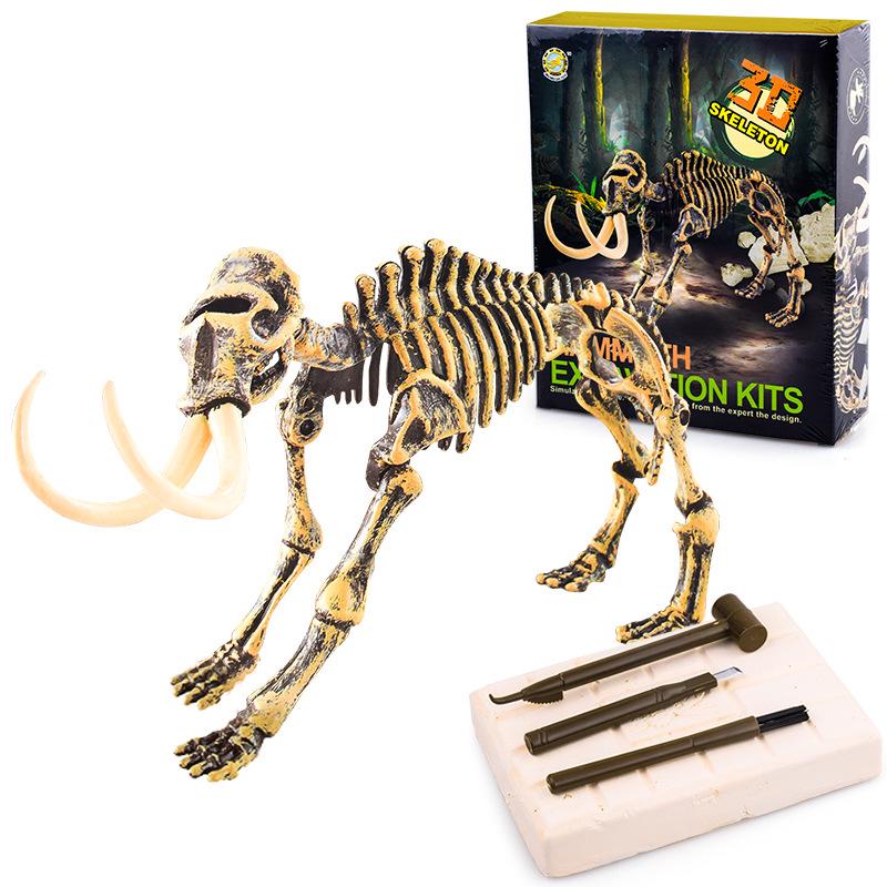 DIY Dinosaur Fossil Excavation Toy: Tyrannosaurus & Triceratops Skeleton Models for Kids