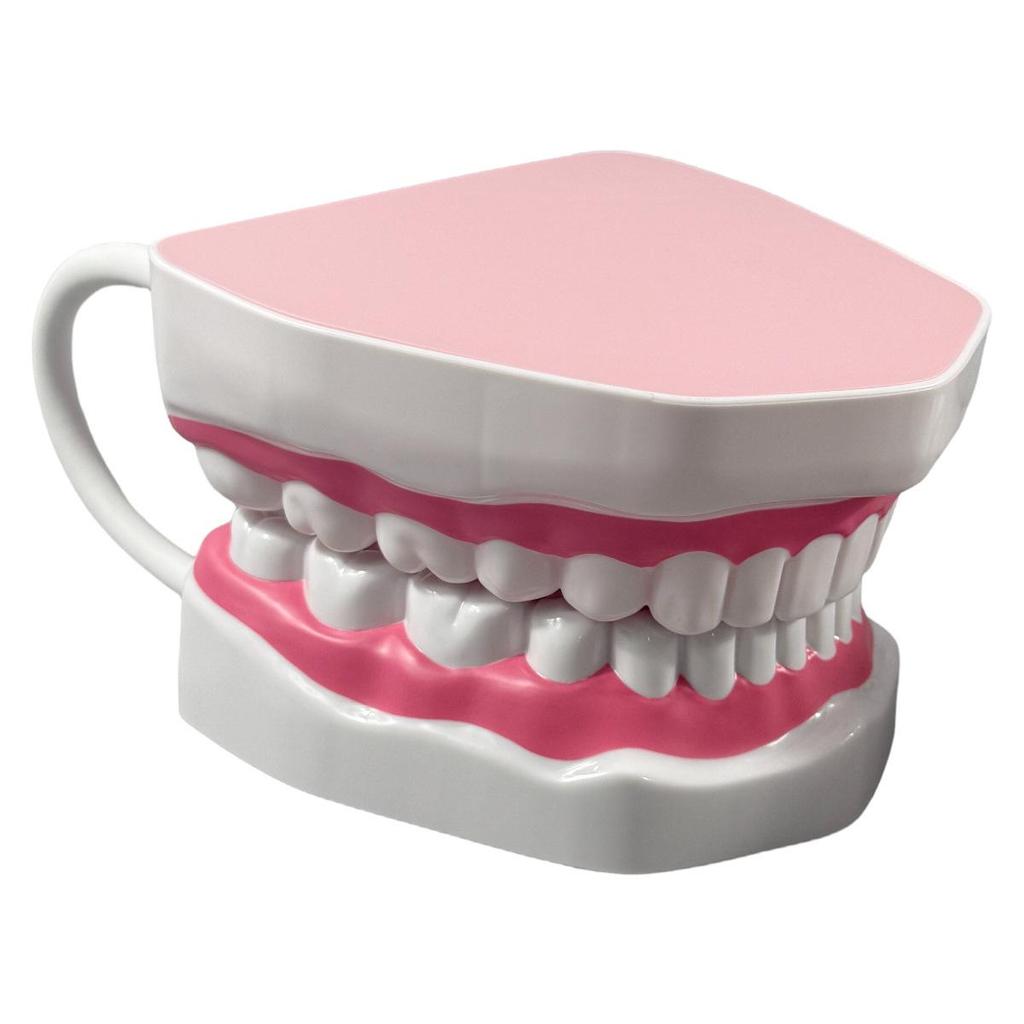 Dental Implant Teaching Model & Toothbrush Preparation Resin Mold