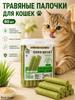Cat herbal stick, used to brush teeth, pack of 60 pieces