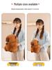 Capybara Plush Hand Warmer & Nap Pillow - Winter Comfort Artifact