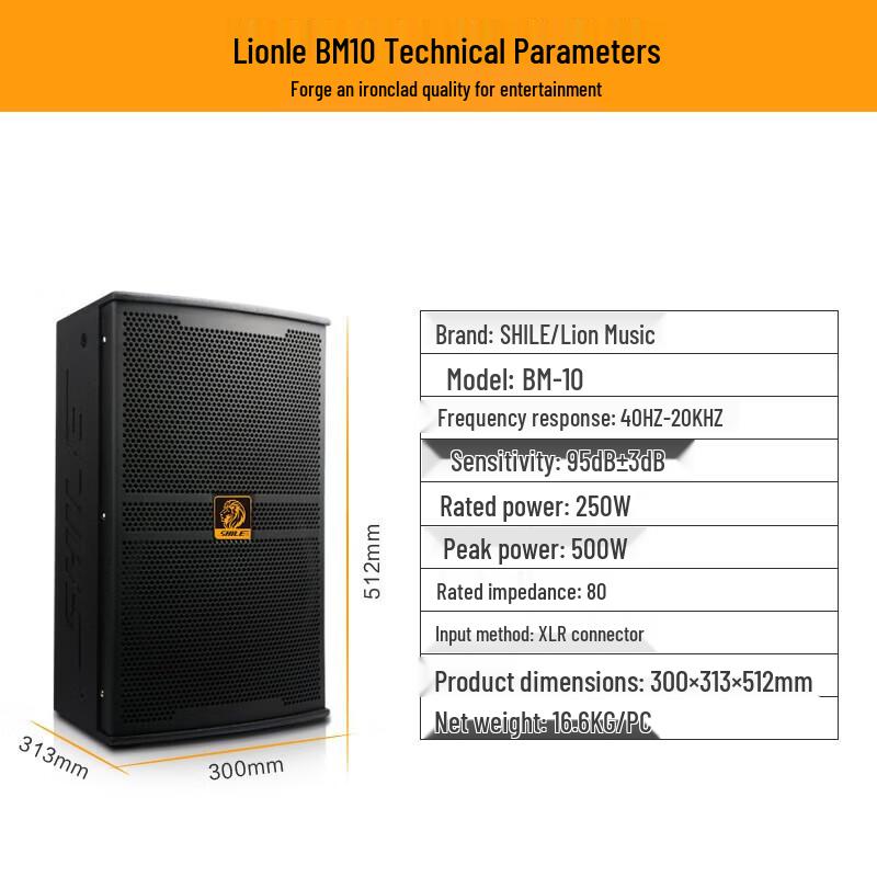 SHILE S62 Professional Audio System Set with 10-inch Speakers CN Plug (adapter Included)