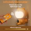 BMW Cute Pet Wall Lamp Animal Night Light Plug-In Induction Night Light With Remote Control Wall Lamp Bedroom Corridor Lighting