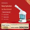 Jindao Nano Ion Facial Steamer & Moisturizer