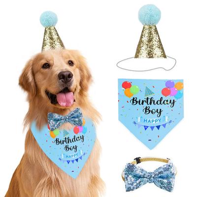 Bekleidung & Schuhe – Hundezubehör