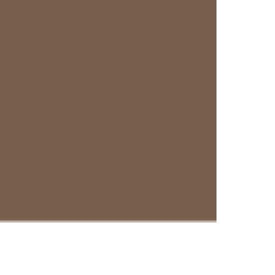 3CE Easy Brow Designing Pencil