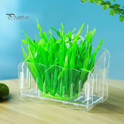 Aquarium Pflanzenhalter Hängender Pflanzentopf mit Saugnäpfen Klarer Acryl Wasserpflanzentopf Blumenständer