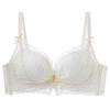 2025 Push-Up Lace Bra: Enhances Small Chest, Anti-Sagging, Side Support