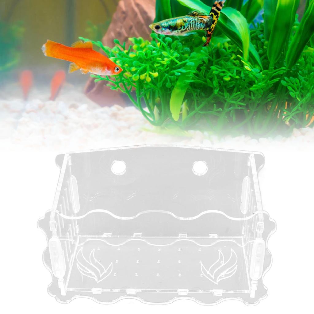 Pflanzbecher Acryl Transparent Durchlässiges Loch Sicher Blumentopf mit Saugnapf für Fische