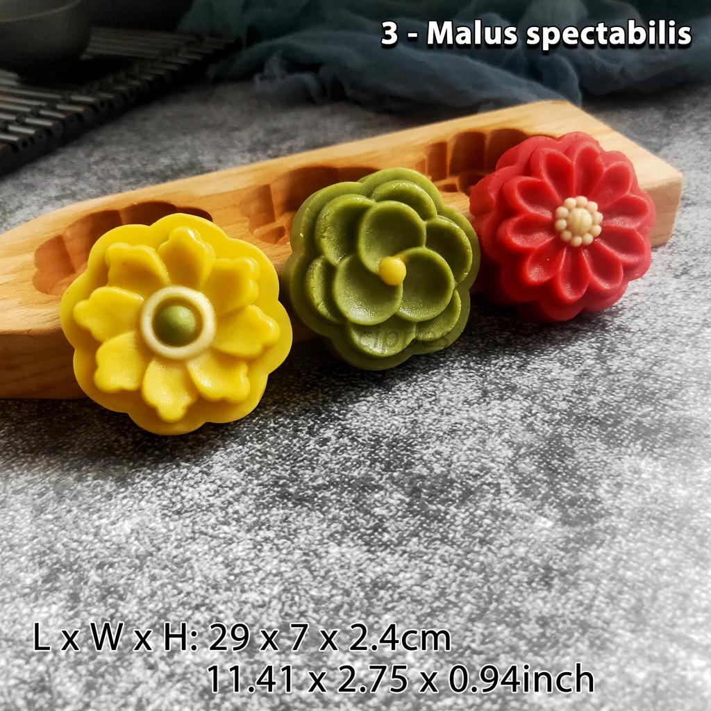 Wooden Cookie Molds for Baking, Moon Cake Molder, Cookie Stamps Cutter Mould for Mid-autumn Festival, for Muffin, Chocolate Mold