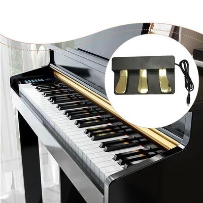 Piano Sustain Pedal Compact Music Instrument Lightweight for Performance Exercise