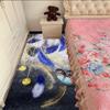 Carpet Bedroom Light Luxury Carpet Girl Warm Bedroom Carpet Bedside Carpet Living Room Tea Table Mat