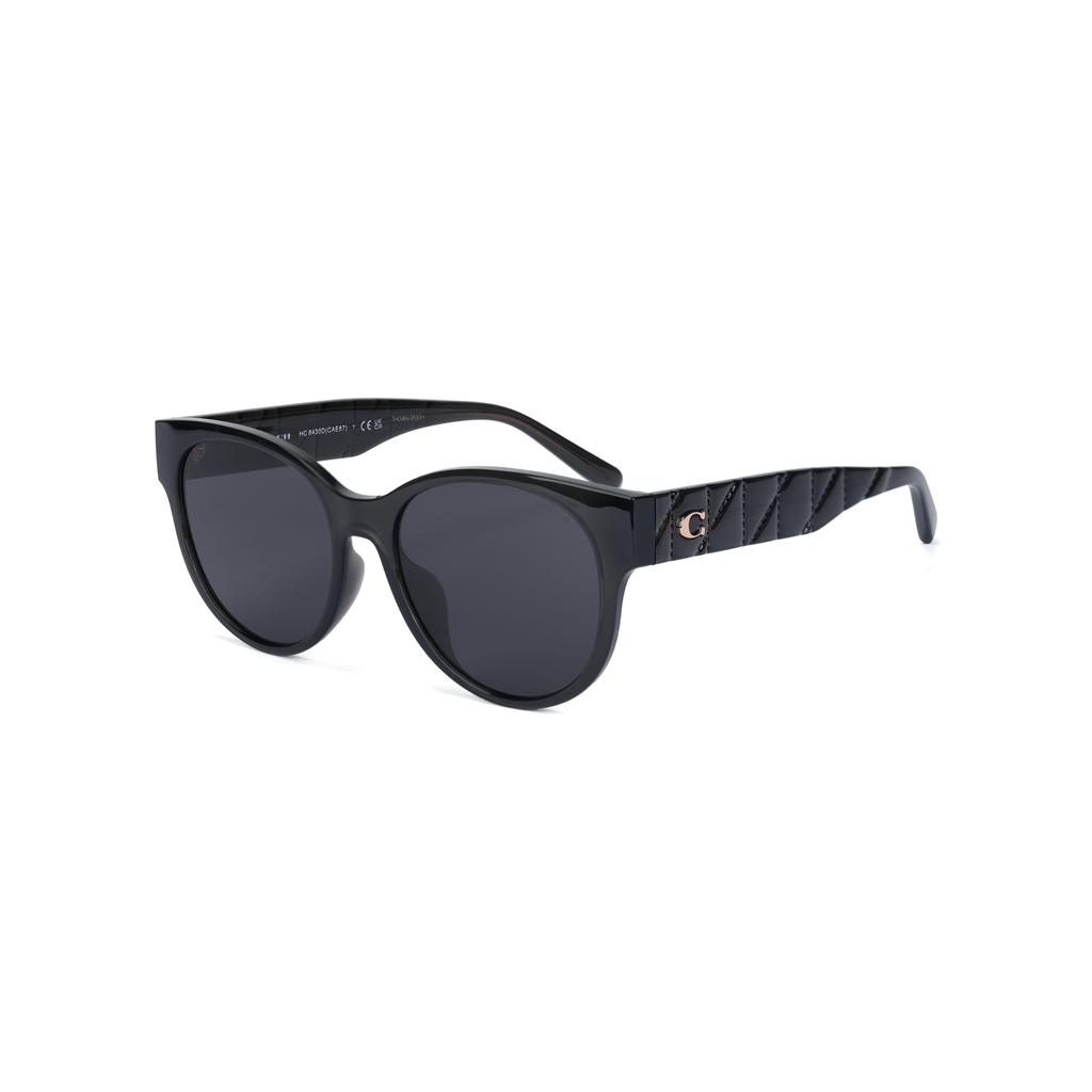 Coach Retro Oversized Fashion Injection Molded Oval Sunglasses Women Sunglasses Black 0HC8430D-589787