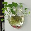 Transparent Creative Wall Mounted Acrylic Fish Bowl Hanging Aquarium Fish Tank Home Decor (23cm Diameter) (23CM)