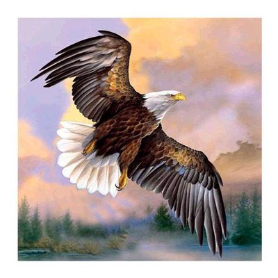 Diamante ricamo animale aquila pittura diamante 5D immagine mosaico decorazioni per la casa fatte a mano