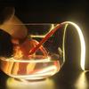 Striscia LED COB da Esterno Subacquea 24V