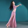 Belly Dance Practice Outfit Sexy Hot Stamping Set Water Gauze Eastern Dance Performance Outfit Group Outfit