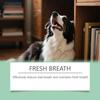 Haustier Erfrischendes Mundspray Erfrischt den Atem, Beseitigt Gerüche, Fördert die Interaktion, Ist mild und reizfrei, 120 ml