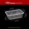 ZISIZ Disposable Rectangular Picnic Lunch Box