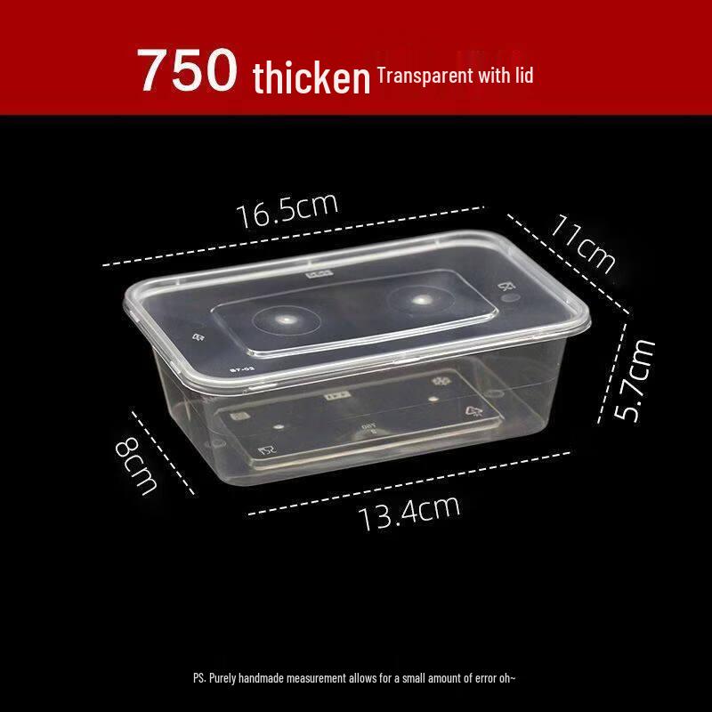 ZISIZ Disposable Rectangular Picnic Lunch Box