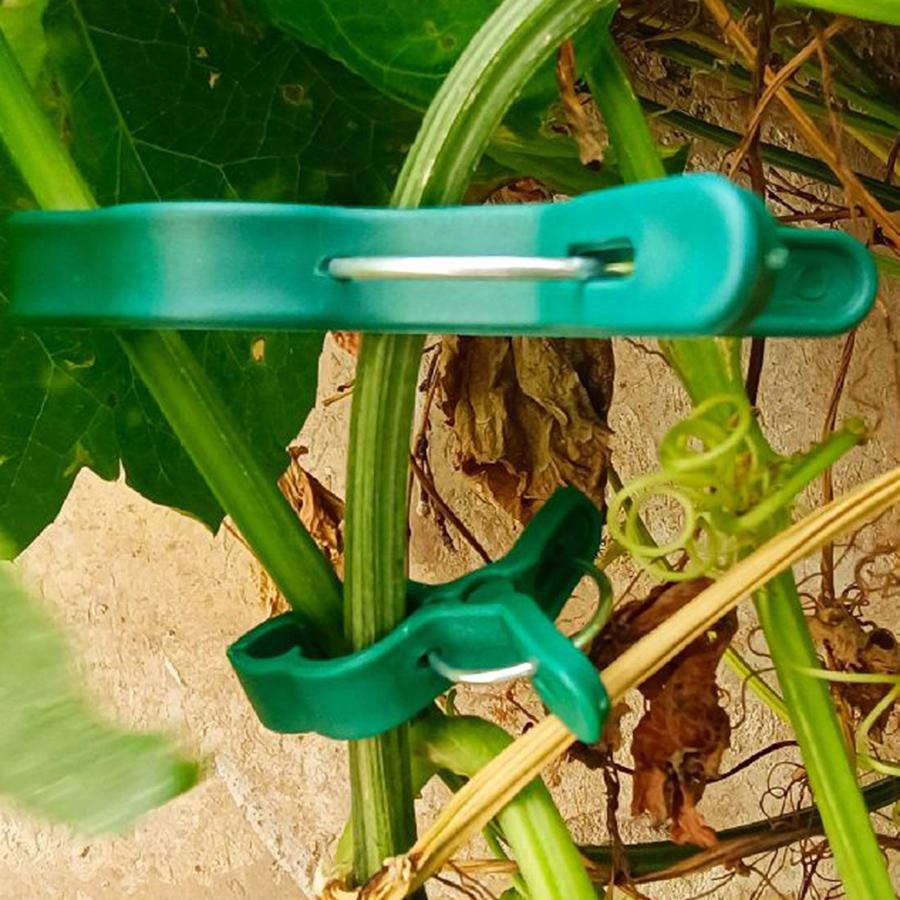 10 Plant Stem Fixing Clip Fruit Vegetable Cultivation Auxiliary Products Clip for Preventing Lodging Assisting Gardening Gadget