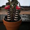Mini Witch's Leg Flower Pot Decoration Set Plant Holder Garden Courtyard Lawn Decor Desktop Ornament Gift Flowerpot Additions
