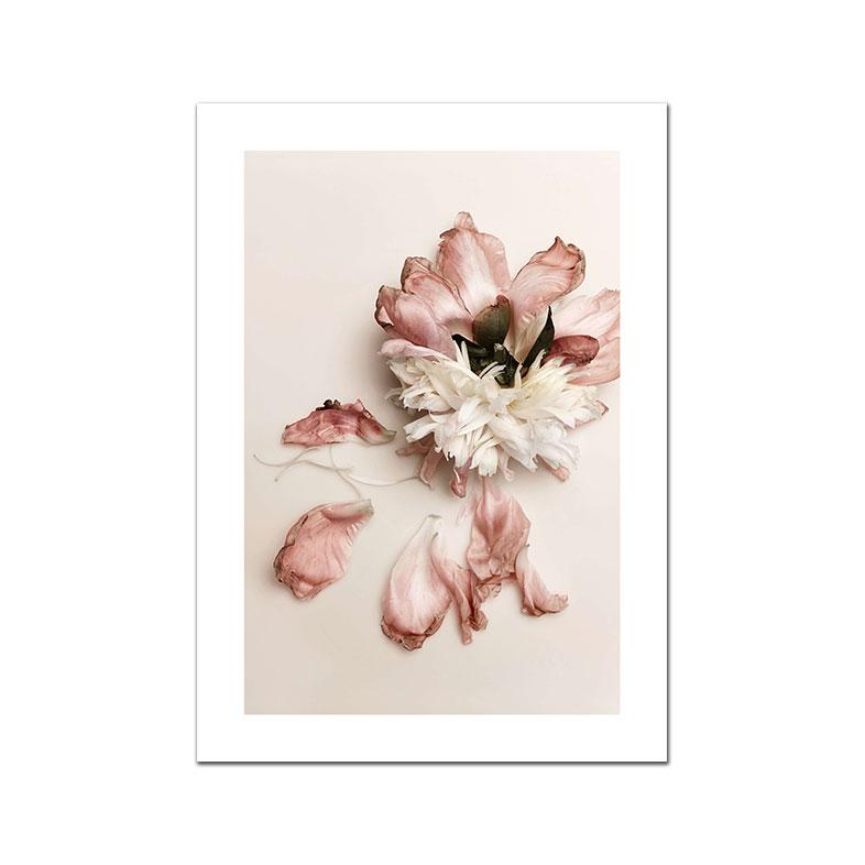 White Pink Red Flower Posters and Print Beatiful Peony Lily Poppy Canvas Painting Modern Wall Art Picture Living Room Decoration