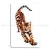 Bengal Cat Stretching Elegantcat Metal Plaque Poster Cinema Poster Plaques Design Cave Tin Sign Poster
