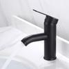 TLXT Black Tall Stainless Steel Waterfall Basin Faucet
