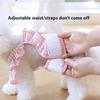 Small Dog Lace Dress Pet Clothes Anti-Harassment Underwear for Teddy Pomeranian All-Season Spring Summer Dog Fashion Accessory