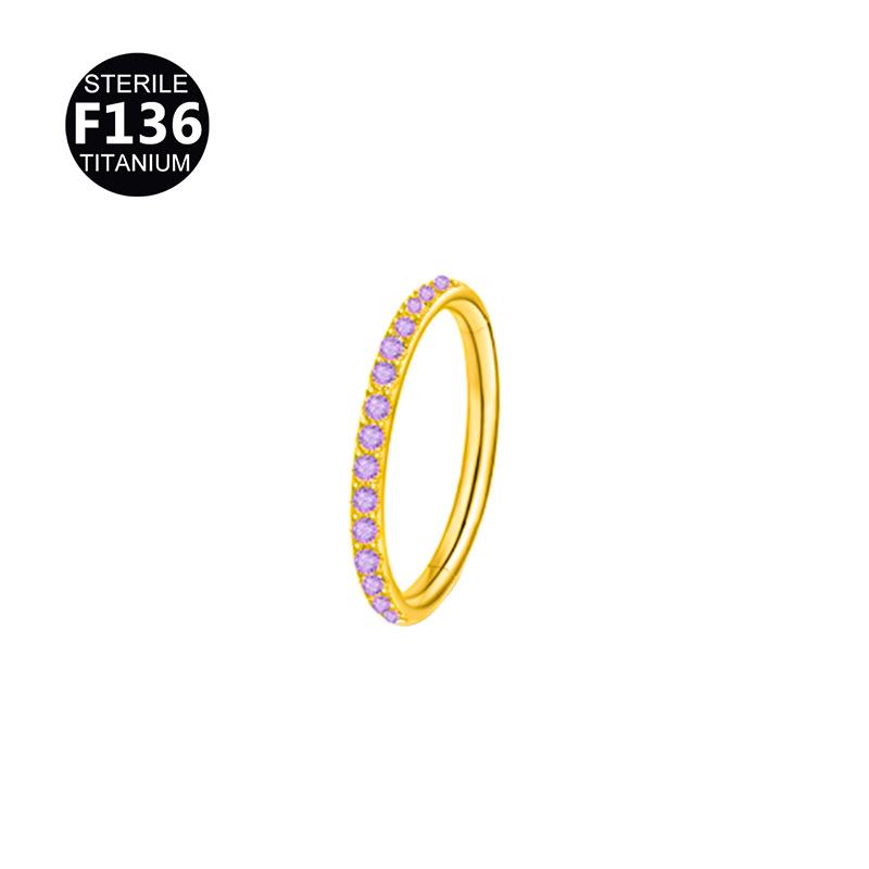Titanium Rhinestone Nose Ring/Earring (6-12mm)