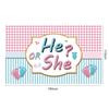 New model gender reveal banner for newborns, balloon decoration scene for celebrating the birth of the baby, flag hanging display
