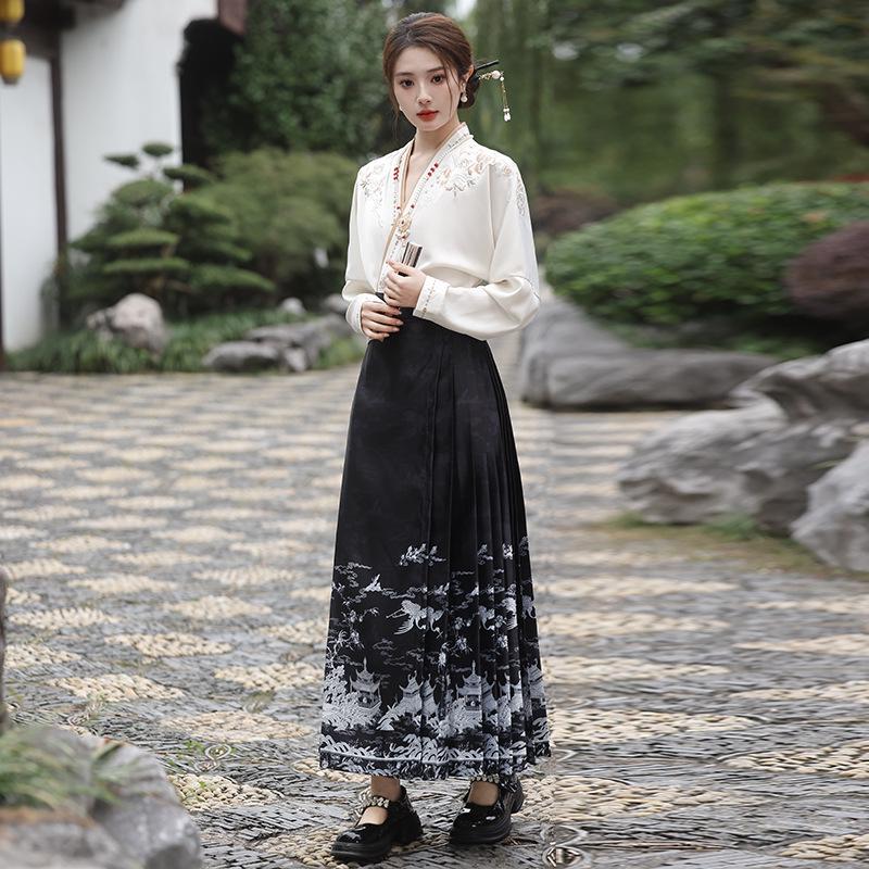 Ming Dynasty-inspired Embroidered Hanfu Skirt and Top Set