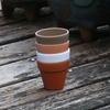 Extra Thick Mini Round Succulent Planter for Lithops and Seedlings
