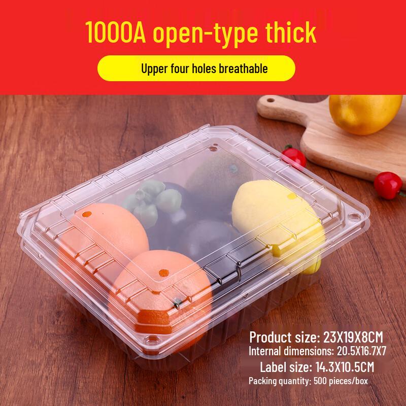 Shixun Disposable Transparent Fruit Containers with Lids (100-Pack)