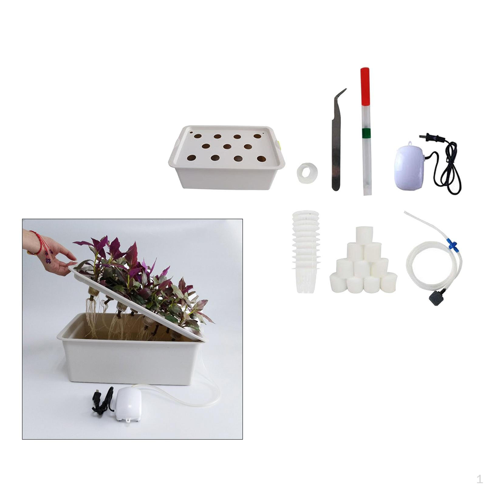 Household Indoor Soilless Cultivation