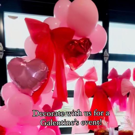 5Pcs 24" Large Bow Plastic Decorative Bow for Gift Wrapping Anniversary Wedding