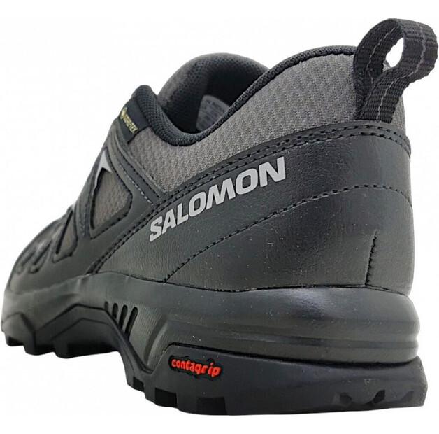 Треккинговые ботинки Salomon X Braze GTX
