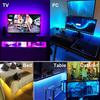 RGB LED Strip Light 5050 Bluetooth APP IR Remote Control USB 0.5M 1M 2M 3M 4M 5M 10M 15M 20M 25M 30M Festival Deco Backlight For Home